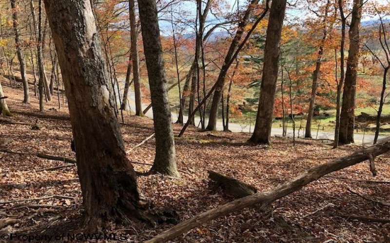 TBD Holly Meadows Road, Parsons, West Virginia 26287, ,Lots/land,For Sale,Holly Meadows,10162100