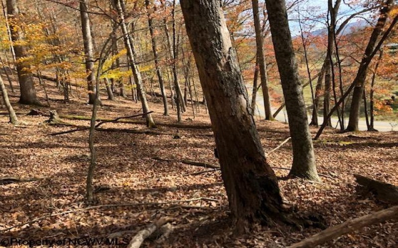 TBD Holly Meadows Road, Parsons, West Virginia 26287, ,Lots/land,For Sale,Holly Meadows,10162100