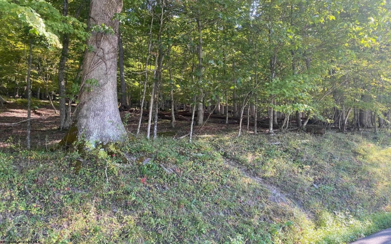 TBD Holly Meadows Road, Parsons, West Virginia 26287, ,Lots/land,For Sale,Holly Meadows,10162100