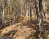 TBD Holly Meadows Road, Parsons, West Virginia 26287, ,Lots/land,For Sale,Holly Meadows,10162100