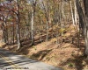 TBD Holly Meadows Road, Parsons, West Virginia 26287, ,Lots/land,For Sale,Holly Meadows,10162100