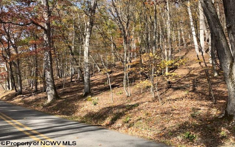TBD Holly Meadows Road, Parsons, West Virginia 26287, ,Lots/land,For Sale,Holly Meadows,10162100
