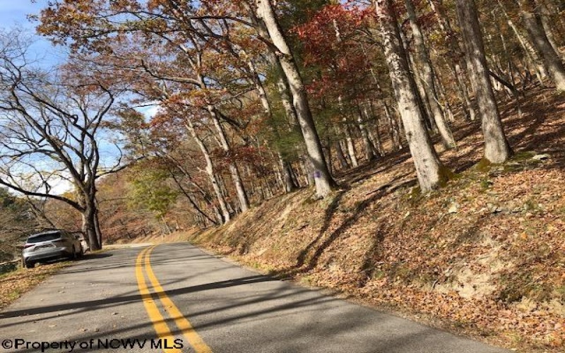 TBD Holly Meadows Road, Parsons, West Virginia 26287, ,Lots/land,For Sale,Holly Meadows,10162100