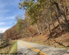 TBD Holly Meadows Road, Parsons, West Virginia 26287, ,Lots/land,For Sale,Holly Meadows,10162100