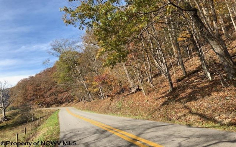TBD Holly Meadows Road, Parsons, West Virginia 26287, ,Lots/land,For Sale,Holly Meadows,10162100