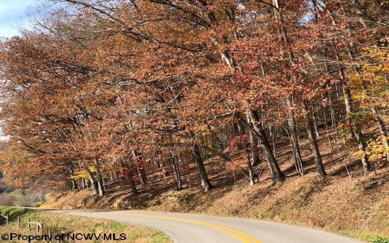 TBD Holly Meadows Road, Parsons, West Virginia 26287, ,Lots/land,For Sale,Holly Meadows,10162100