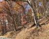 TBD Holly Meadows Road, Parsons, West Virginia 26287, ,Lots/land,For Sale,Holly Meadows,10162100
