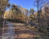 Lot 16 Island Road, Junior, West Virginia 26275, ,Lots/land,For Sale,Island,10162092 Lot 16 Island Road, Junior, West Virginia 26275, ,Lots/land,For Sale,Island,10162092
