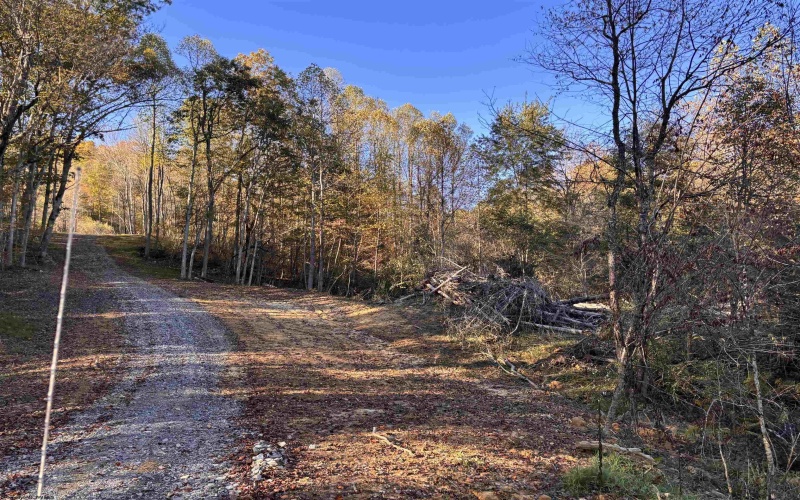 Lot 16 Island Road, Junior, West Virginia 26275, ,Lots/land,For Sale,Island,10162092 Lot 16 Island Road, Junior, West Virginia 26275, ,Lots/land,For Sale,Island,10162092