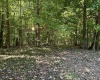 Lot 2 East Run Circle, Four States, West Virginia 26572, ,Lots/land,For Sale,East Run,10159104