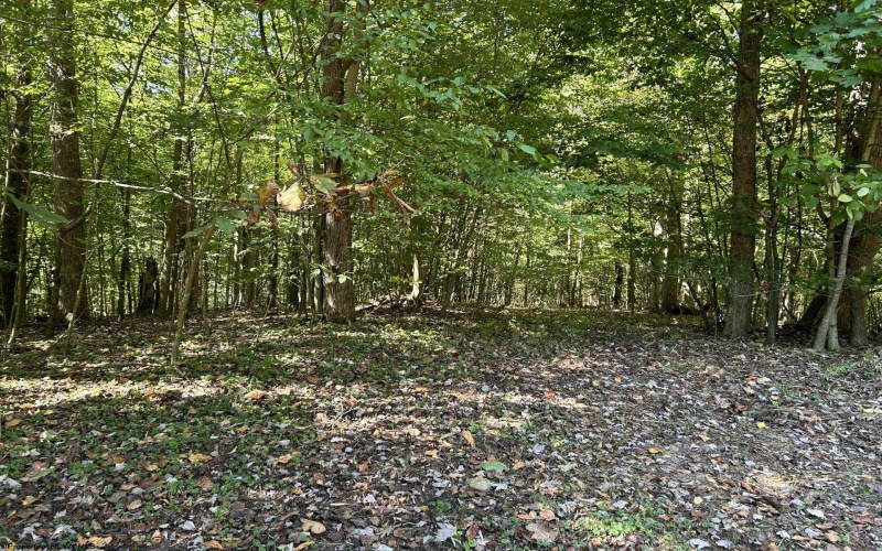 Lot 2 East Run Circle, Four States, West Virginia 26572, ,Lots/land,For Sale,East Run,10159104