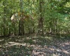 Lot 2 East Run Circle, Four States, West Virginia 26572, ,Lots/land,For Sale,East Run,10159104
