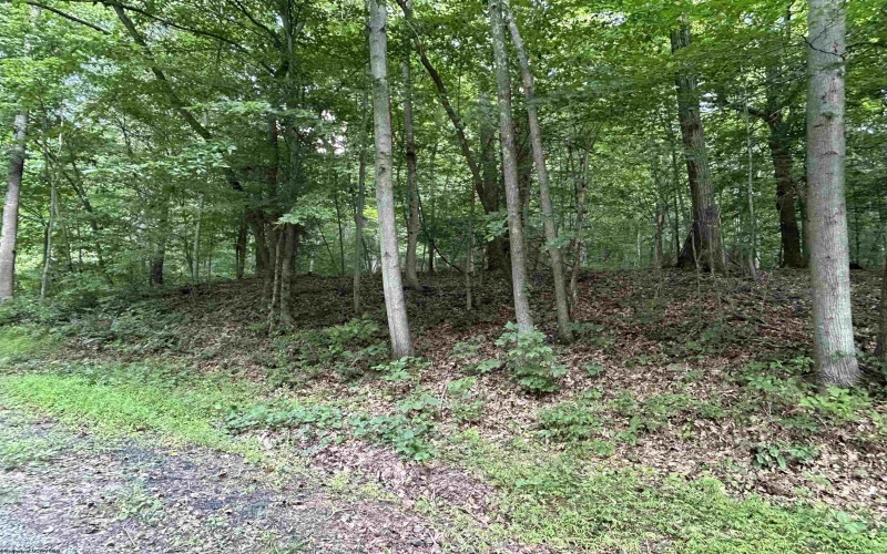 Lot 2 East Run Circle, Four States, West Virginia 26572, ,Lots/land,For Sale,East Run,10159104