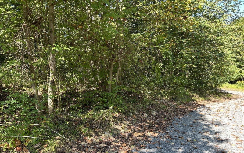 Lot 2 East Run Circle, Four States, West Virginia 26572, ,Lots/land,For Sale,East Run,10159104