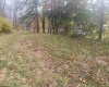 TBD Jones Lane Road, Parsons, West Virginia 26287, ,Lots/land,For Sale,Jones Lane,10162097