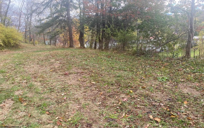 TBD Jones Lane Road, Parsons, West Virginia 26287, ,Lots/land,For Sale,Jones Lane,10162097