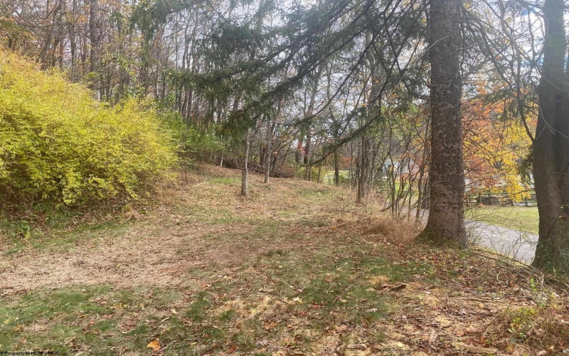 TBD Jones Lane Road, Parsons, West Virginia 26287, ,Lots/land,For Sale,Jones Lane,10162097