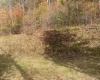 TBD Jones Lane Road, Parsons, West Virginia 26287, ,Lots/land,For Sale,Jones Lane,10162097