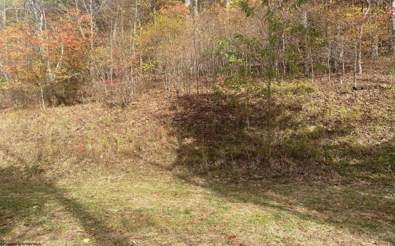 TBD Jones Lane Road, Parsons, West Virginia 26287, ,Lots/land,For Sale,Jones Lane,10162097