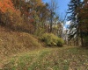 TBD Jones Lane Road, Parsons, West Virginia 26287, ,Lots/land,For Sale,Jones Lane,10162097