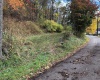 TBD Jones Lane Road, Parsons, West Virginia 26287, ,Lots/land,For Sale,Jones Lane,10162097
