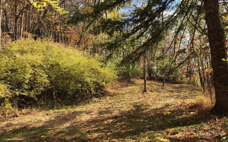 TBD Jones Lane Road, Parsons, West Virginia 26287, ,Lots/land,For Sale,Jones Lane,10162097