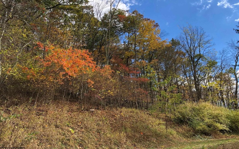 TBD Jones Lane Road, Parsons, West Virginia 26287, ,Lots/land,For Sale,Jones Lane,10162097