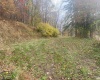 TBD Jones Lane Road, Parsons, West Virginia 26287, ,Lots/land,For Sale,Jones Lane,10162097