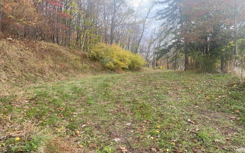 TBD Jones Lane Road, Parsons, West Virginia 26287, ,Lots/land,For Sale,Jones Lane,10162097
