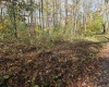 TBD Campground Road, Tunnelton, West Virginia 26444, ,Lots/land,For Sale,Campground,10162098 TBD Campground Road, Tunnelton, West Virginia 26444, ,Lots/land,For Sale,Campground,10162098
