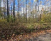 TBD Campground Road, Tunnelton, West Virginia 26444, ,Lots/land,For Sale,Campground,10162098 TBD Campground Road, Tunnelton, West Virginia 26444, ,Lots/land,For Sale,Campground,10162098