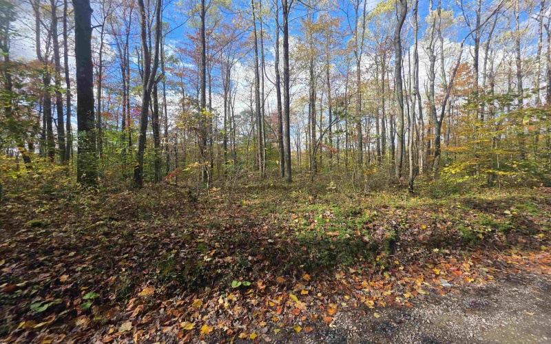TBD Campground Road, Tunnelton, West Virginia 26444, ,Lots/land,For Sale,Campground,10162098 TBD Campground Road, Tunnelton, West Virginia 26444, ,Lots/land,For Sale,Campground,10162098