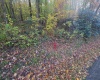 TBD Campground Road, Tunnelton, West Virginia 26444, ,Lots/land,For Sale,Campground,10162098 TBD Campground Road, Tunnelton, West Virginia 26444, ,Lots/land,For Sale,Campground,10162098