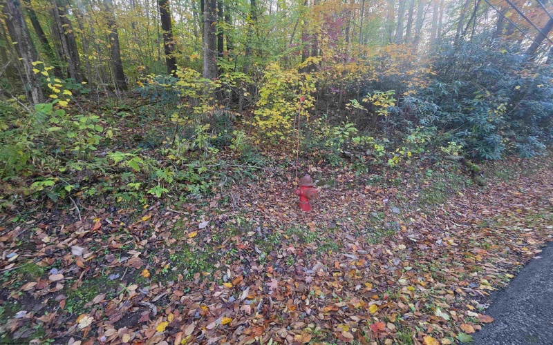 TBD Campground Road, Tunnelton, West Virginia 26444, ,Lots/land,For Sale,Campground,10162098 TBD Campground Road, Tunnelton, West Virginia 26444, ,Lots/land,For Sale,Campground,10162098