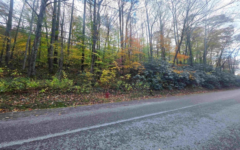 TBD Campground Road, Tunnelton, West Virginia 26444, ,Lots/land,For Sale,Campground,10162098 TBD Campground Road, Tunnelton, West Virginia 26444, ,Lots/land,For Sale,Campground,10162098