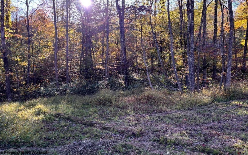 Lot 20 Island Road, Junior, West Virginia 26275, ,Lots/land,For Sale,Island,10162105