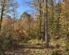 Lot 20 Island Road, Junior, West Virginia 26275, ,Lots/land,For Sale,Island,10162105