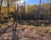 LOT 23 Island Road, Junior, West Virginia 26275, ,Lots/land,For Sale,Island,10162110 LOT 23 Island Road, Junior, West Virginia 26275, ,Lots/land,For Sale,Island,10162110