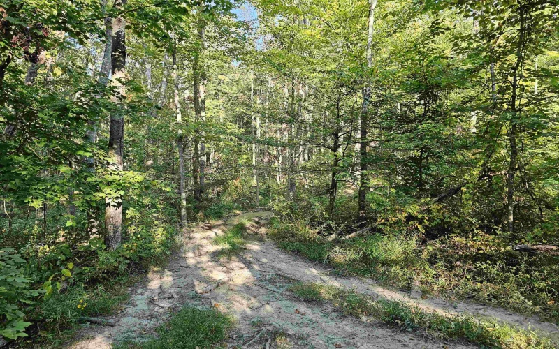 TBD CR 66/1 Road, Charleston, West Virginia 25306, ,Lots/land,For Sale,CR 66/1,10162112