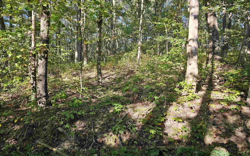 TBD CR 66/1 Road, Charleston, West Virginia 25306, ,Lots/land,For Sale,CR 66/1,10162112