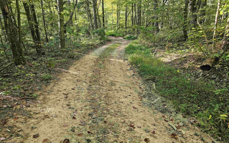 TBD CR 66/1 Road, Charleston, West Virginia 25306, ,Lots/land,For Sale,CR 66/1,10162112