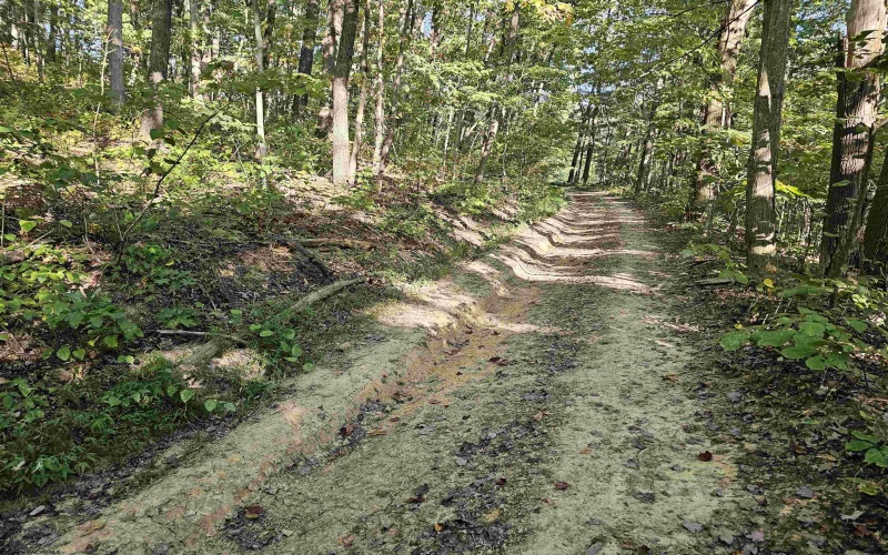 TBD CR 66/1 Road, Charleston, West Virginia 25306, ,Lots/land,For Sale,CR 66/1,10162112