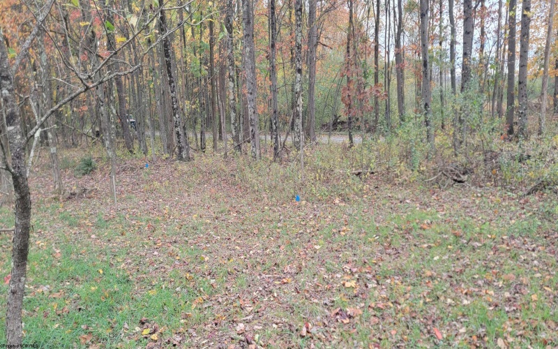 Lot 13 Sand Bank Road, Masontown, West Virginia 26542, ,Lots/land,For Sale,Sand Bank,10162121 Lot 13 Sand Bank Road, Masontown, West Virginia 26542, ,Lots/land,For Sale,Sand Bank,10162121