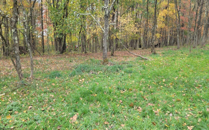Lot 13 Sand Bank Road, Masontown, West Virginia 26542, ,Lots/land,For Sale,Sand Bank,10162121 Lot 13 Sand Bank Road, Masontown, West Virginia 26542, ,Lots/land,For Sale,Sand Bank,10162121