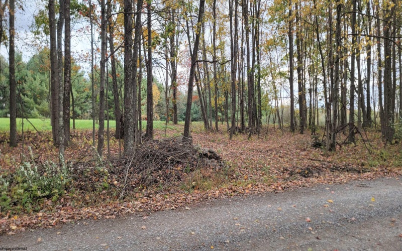 Lot 13 Sand Bank Road, Masontown, West Virginia 26542, ,Lots/land,For Sale,Sand Bank,10162121 Lot 13 Sand Bank Road, Masontown, West Virginia 26542, ,Lots/land,For Sale,Sand Bank,10162121