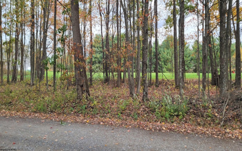 Lot 13 Sand Bank Road, Masontown, West Virginia 26542, ,Lots/land,For Sale,Sand Bank,10162121 Lot 13 Sand Bank Road, Masontown, West Virginia 26542, ,Lots/land,For Sale,Sand Bank,10162121