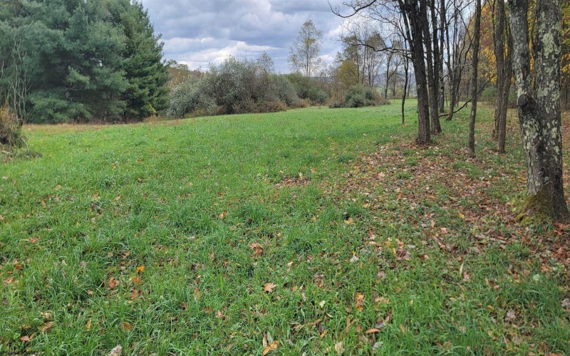 Lot 13 Sand Bank Road, Masontown, West Virginia 26542, ,Lots/land,For Sale,Sand Bank,10162121 Lot 13 Sand Bank Road, Masontown, West Virginia 26542, ,Lots/land,For Sale,Sand Bank,10162121