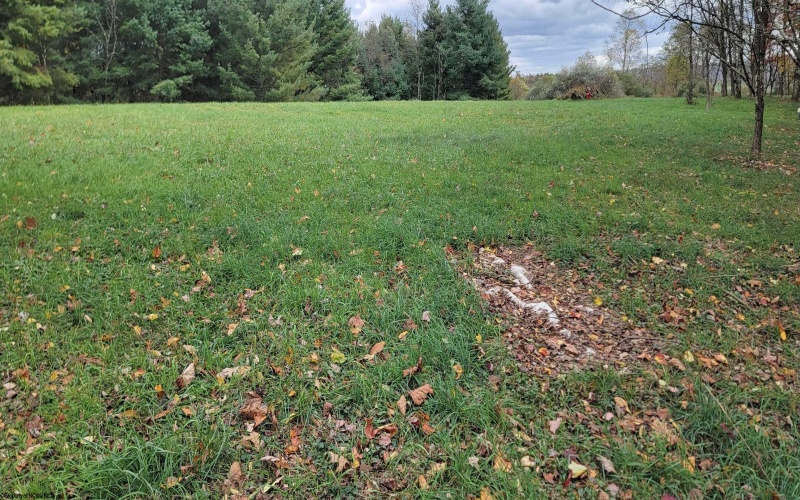 Lot 13 Sand Bank Road, Masontown, West Virginia 26542, ,Lots/land,For Sale,Sand Bank,10162121 Lot 13 Sand Bank Road, Masontown, West Virginia 26542, ,Lots/land,For Sale,Sand Bank,10162121