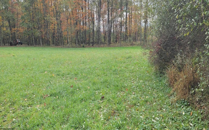 Lot 13 Sand Bank Road, Masontown, West Virginia 26542, ,Lots/land,For Sale,Sand Bank,10162121 Lot 13 Sand Bank Road, Masontown, West Virginia 26542, ,Lots/land,For Sale,Sand Bank,10162121