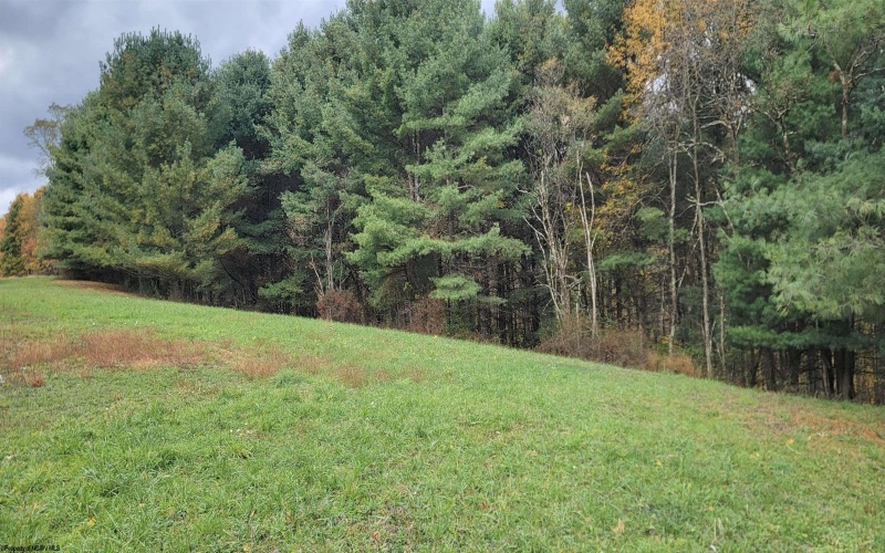 Lot 13 Sand Bank Road, Masontown, West Virginia 26542, ,Lots/land,For Sale,Sand Bank,10162121 Lot 13 Sand Bank Road, Masontown, West Virginia 26542, ,Lots/land,For Sale,Sand Bank,10162121